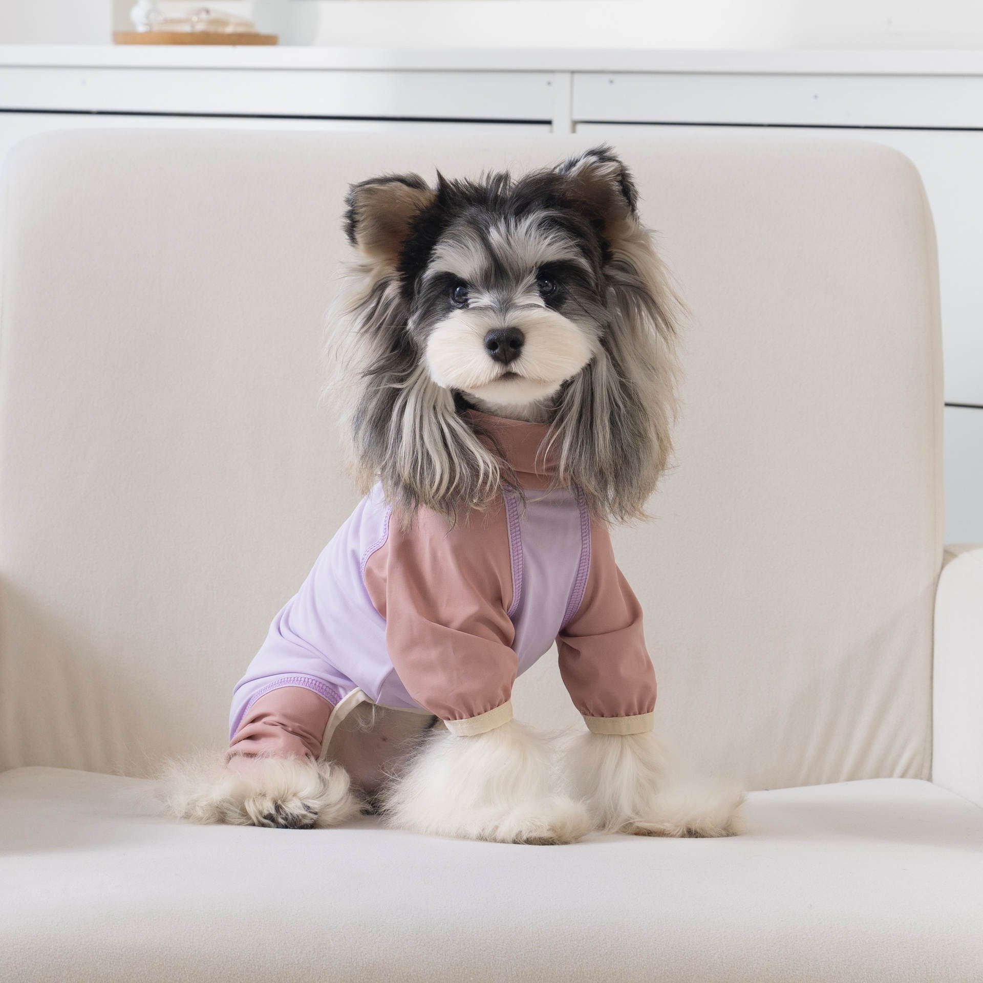 Pet apparel, dog clothes, four-legged outfit, korean style, new spring/summer collection, 26-zipper, cooling four-legged suit