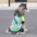 Pet clothes dog cat clothes pet clothing spring and summer new pet vest 26 pendant puppy vest