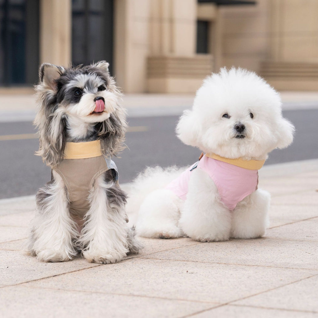 Pet clothes dog cat clothes pet clothing spring and summer new pet outwear 26 korean style washed outwear
