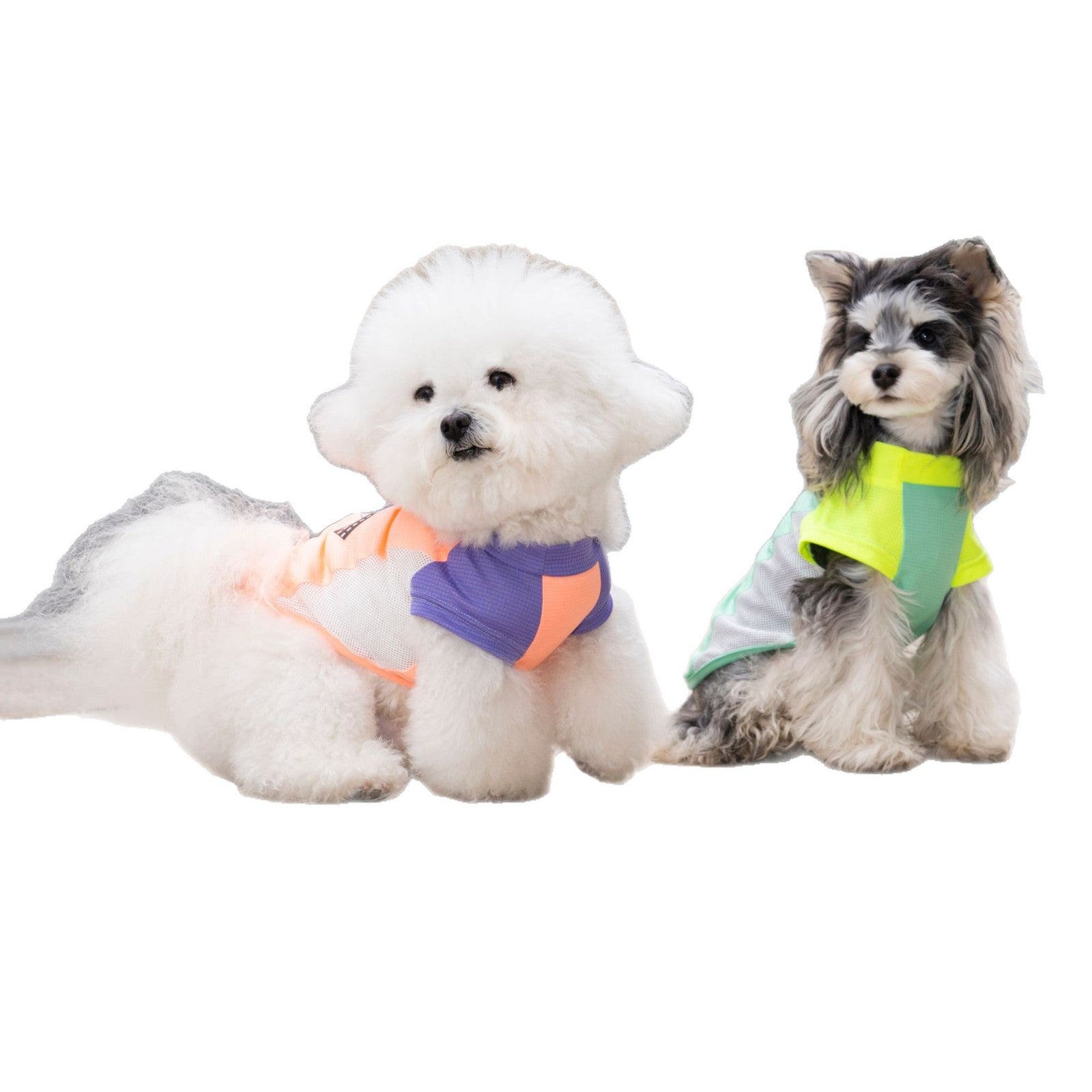 Pet clothes dog cat clothes pet clothing spring and summer new pet vest 26 pendant puppy vest