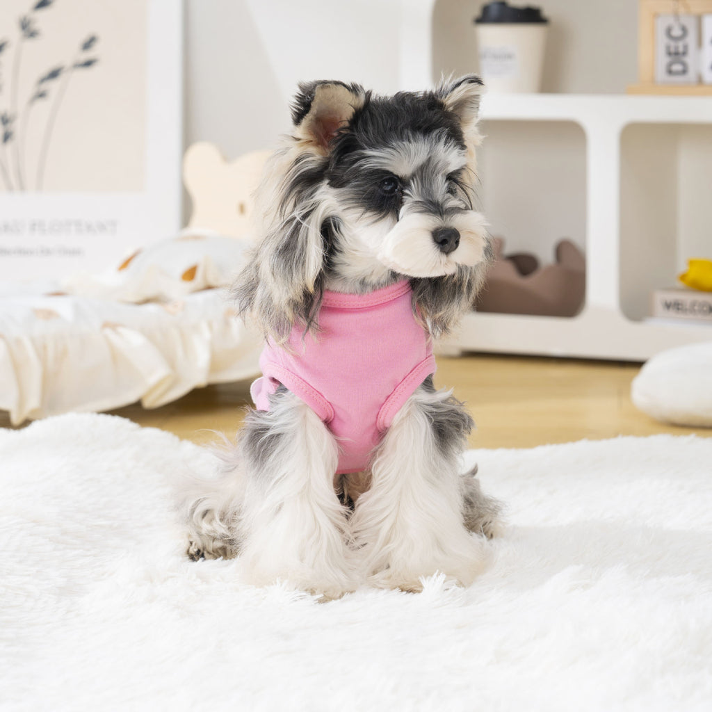 Dog vest cat clothes pet clothes cool clothes summer breathable t-shirt 26 color palette vest