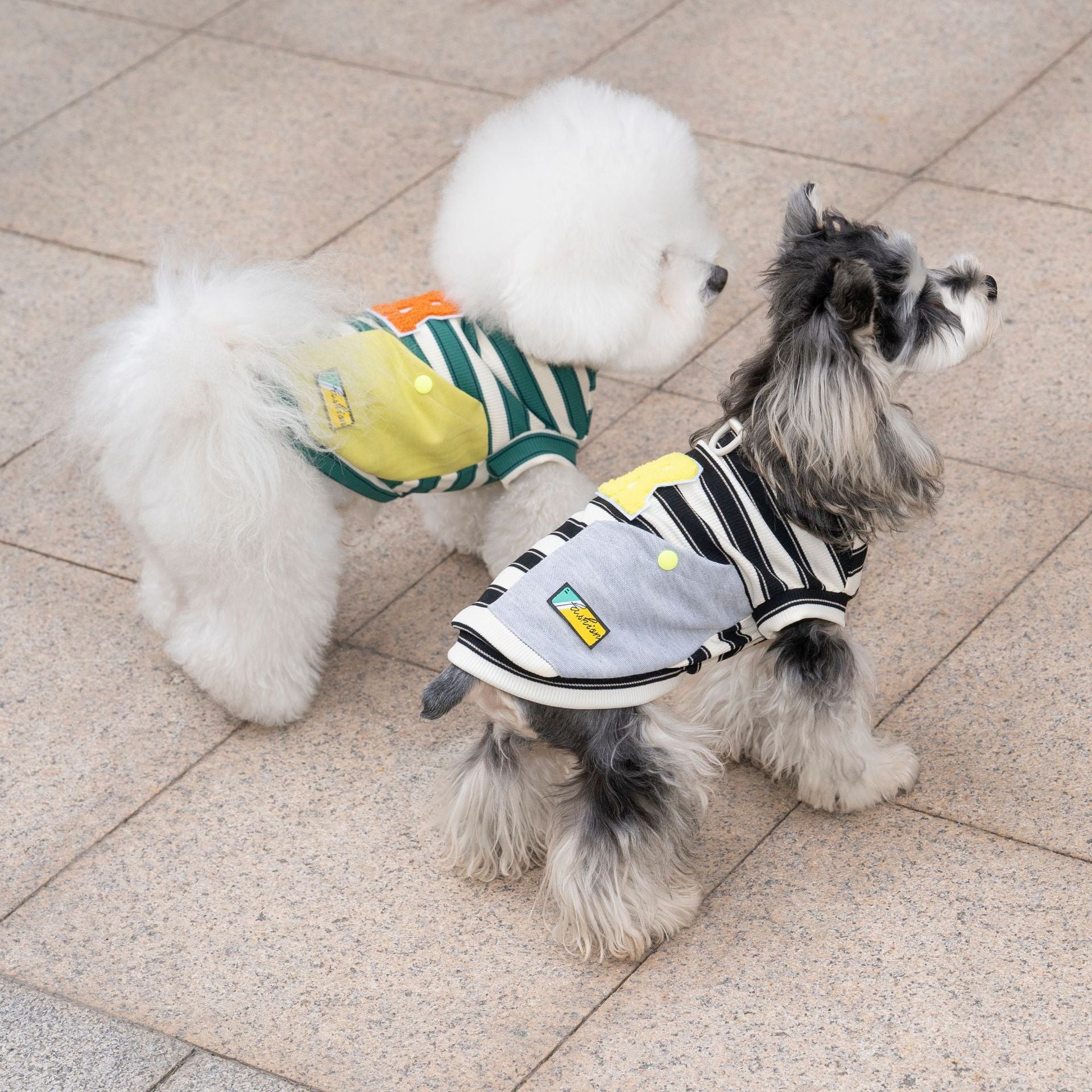Cross-border new arrival amazon korean pet clothes fashiontrendy puppy clothes summer thin breathable t-shirt