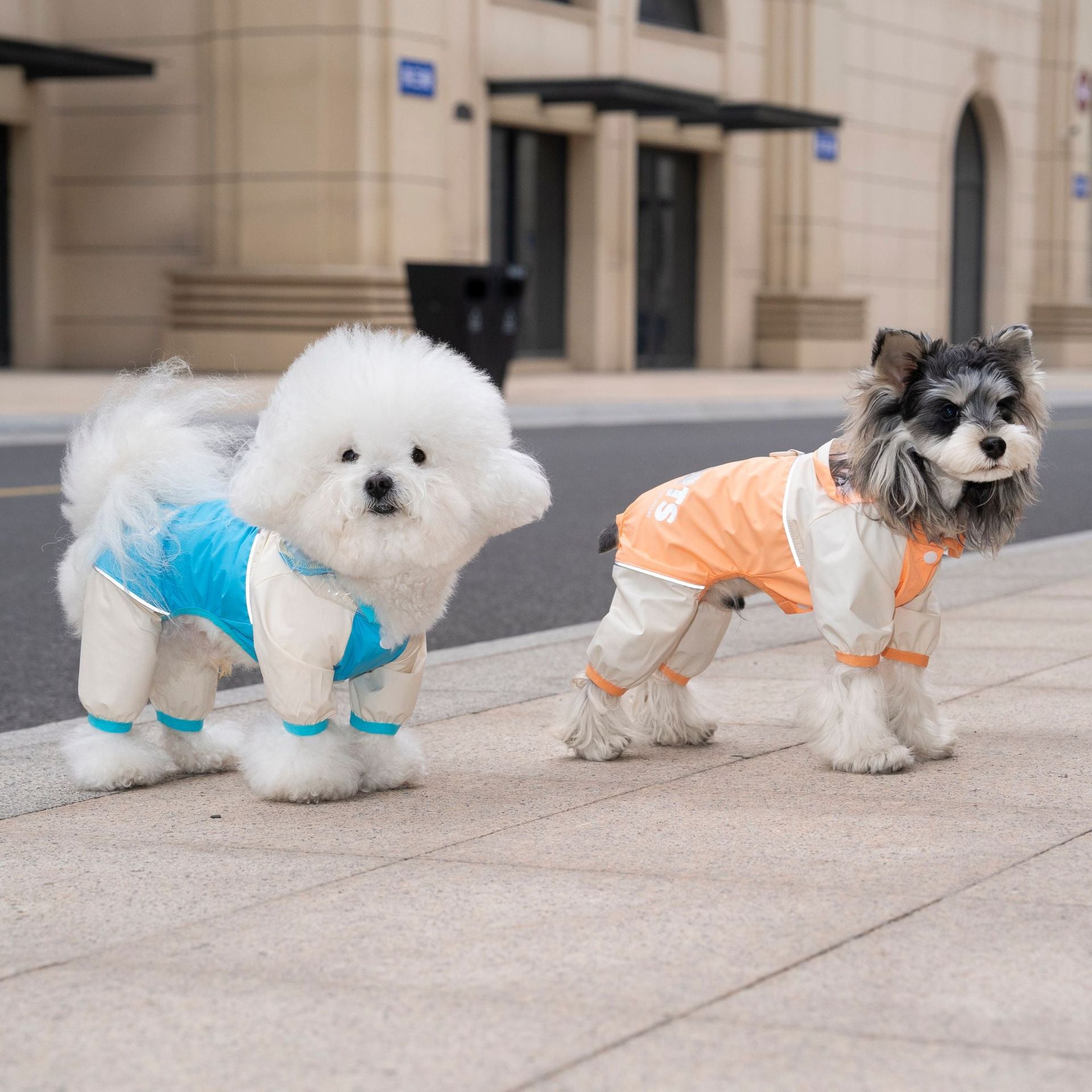 Dog raincoat pet apparel - waterproof rain jacket for all seasons (spring, summer, autumn, winter) - teddy, bichon frise & other small breeds - 26 color block designs
