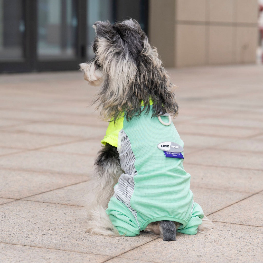 Pet apparel, dog clothes, four-legged outfit, korean style spring/summer new arrival, 26-piece mesh sports four-leg suit