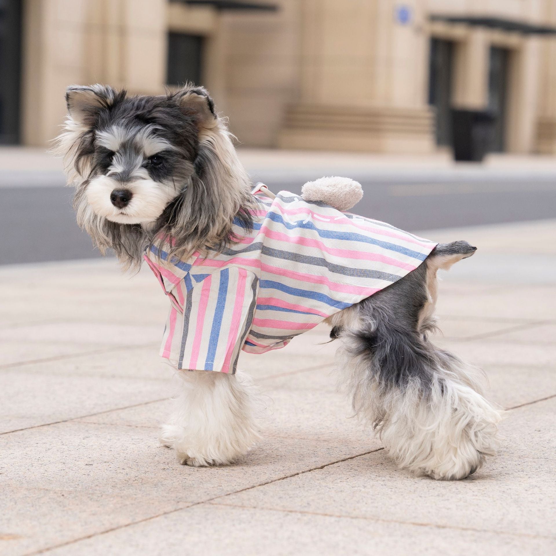 Pet clothes dog cat clothes breathable pet clothing spring and summer new pet 26 doll bear vertical stripe shirt