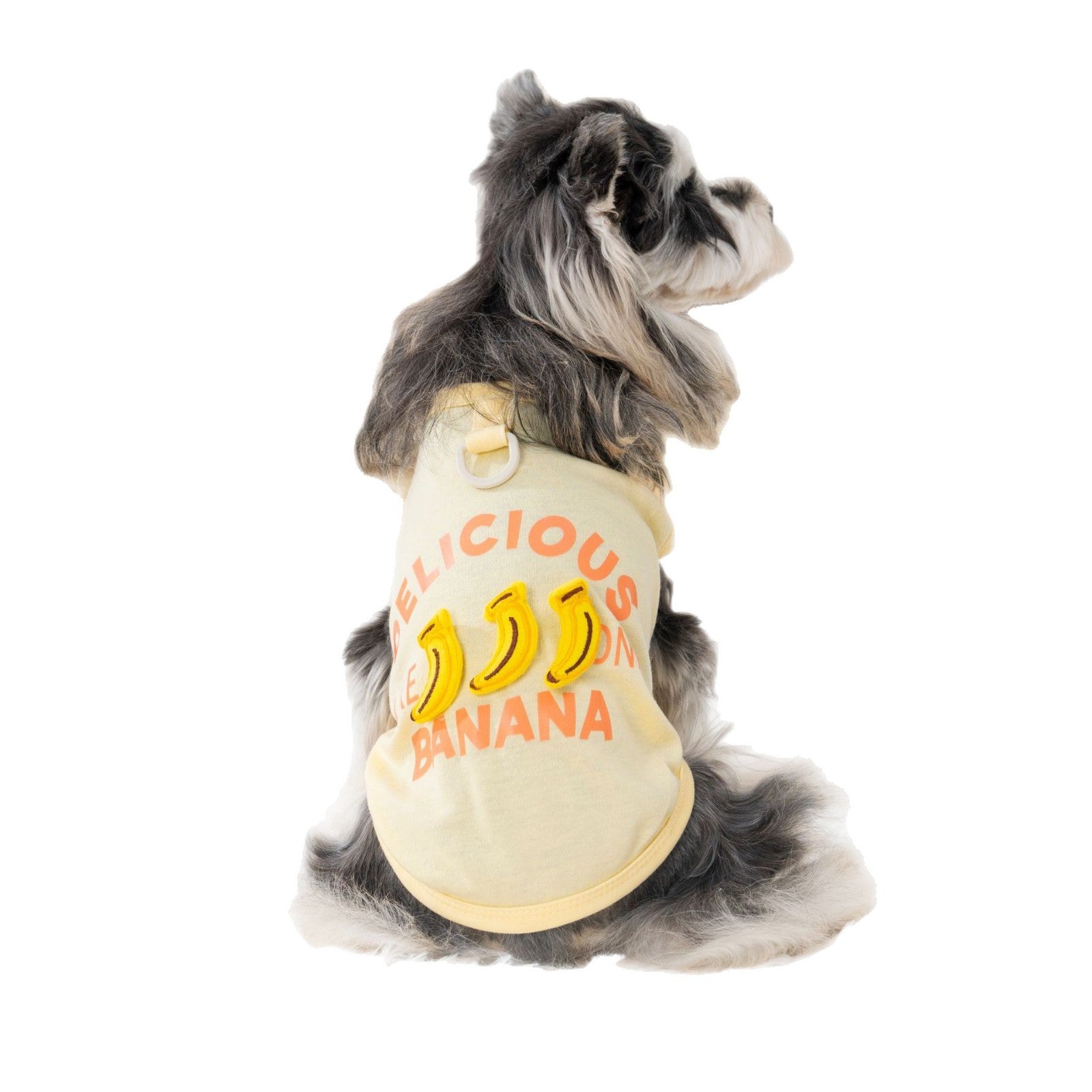 Pet clothes dog cat clothes pet clothing spring and summer new pet 26 three-dimensional doll fruit vest