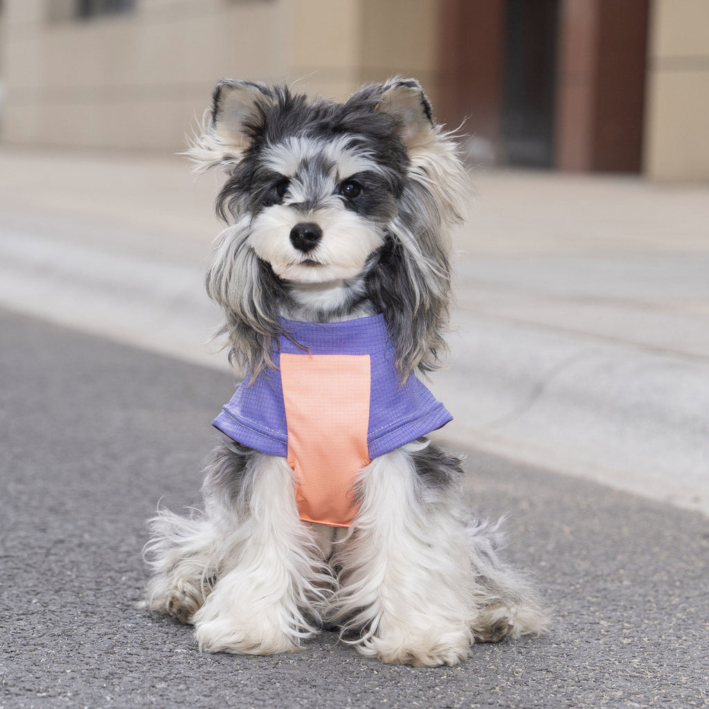 Pet clothes dog cat clothes pet clothing spring and summer new pet vest 26 pendant puppy vest