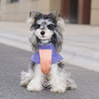 Pet clothes dog cat clothes pet clothing spring and summer new pet vest 26 pendant puppy vest