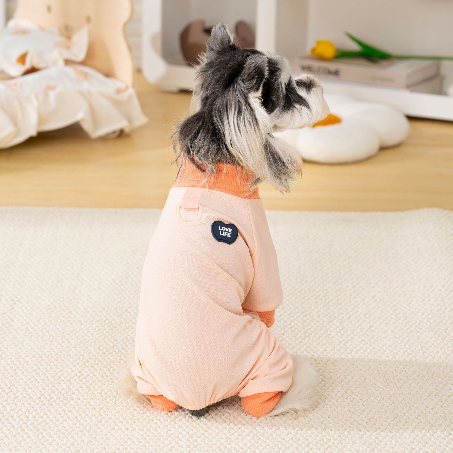Pet apparel, dog clothes, four-legged outfit, korean style, new spring/summer collection, 26 korean minimalist four-legged design