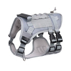 Outdoor Dog Harness Vest – Lightweight Leash Walking Gear