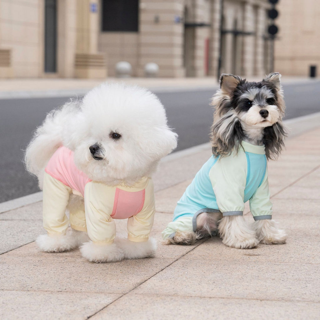 Pet apparel, dog clothes, four-legged outfit, korean style, new spring/summer collection, 26-zipper, cooling four-legged suit