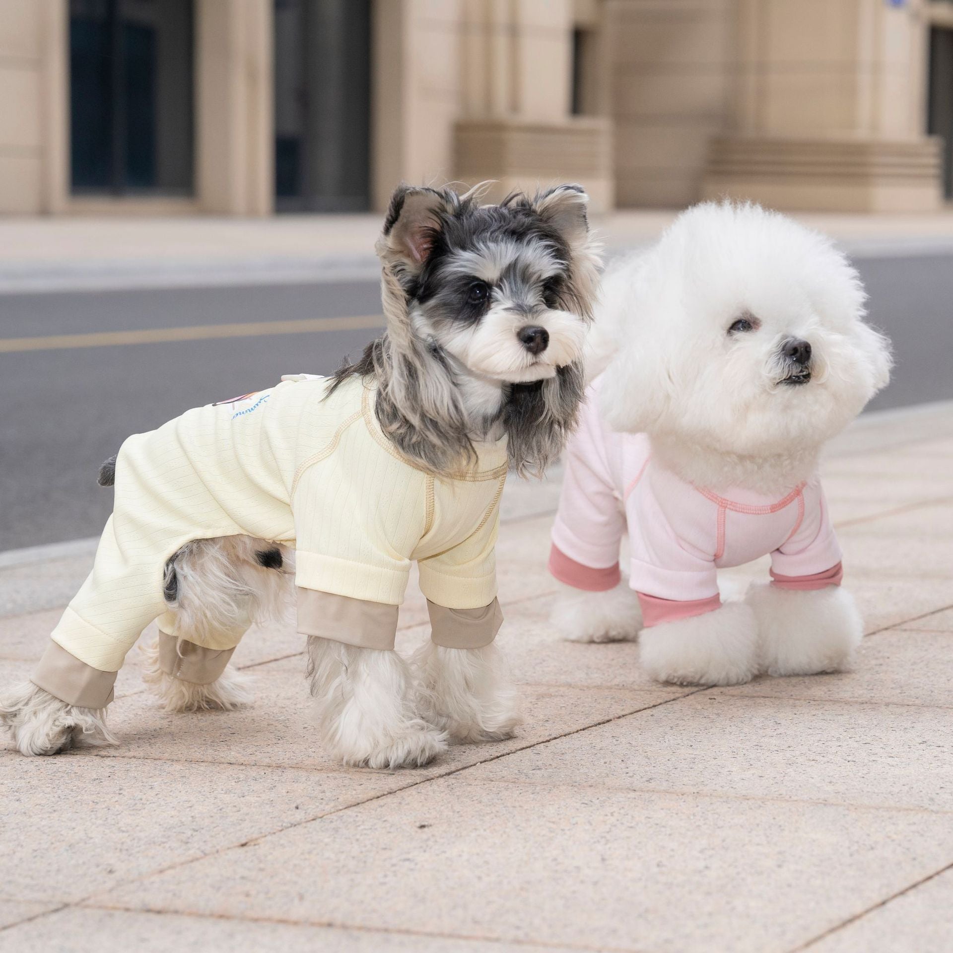 Pet apparel, dog clothes, four-legged outfit, korean style, new spring/summer collection, 26 ice cream print, four-legged design