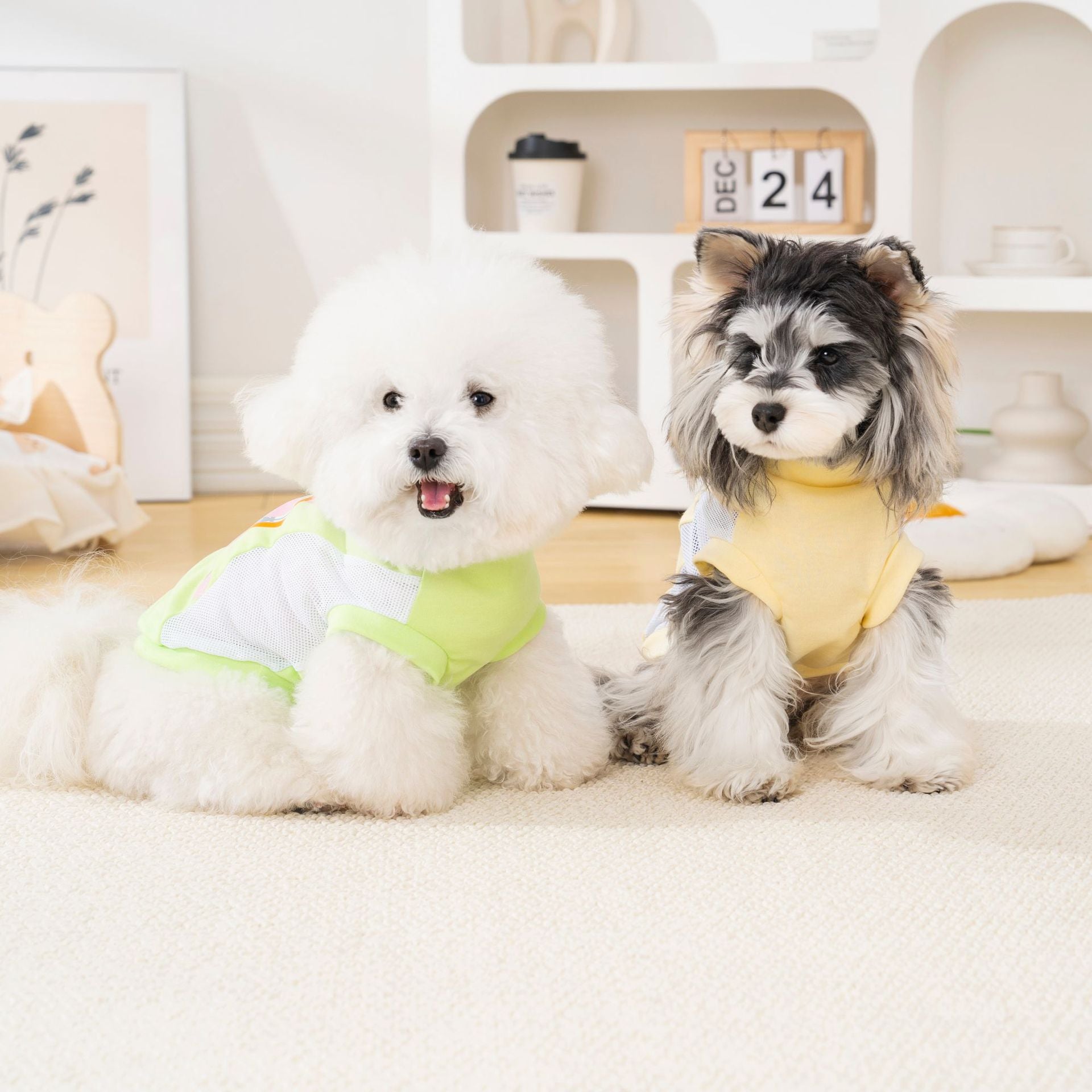 Pet clothes dog clothes cat pet clothing spring and summer new pet vest t-shirt 26 backpack printed t-shirt