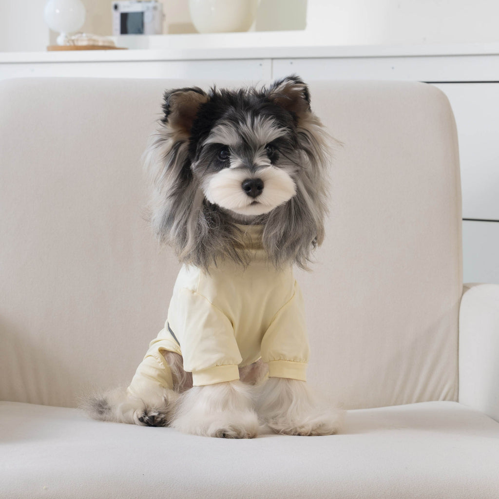 Pet clothes dog clothes pet apparel spring/summer new reflective four-legged 26 reflective print four-legged
