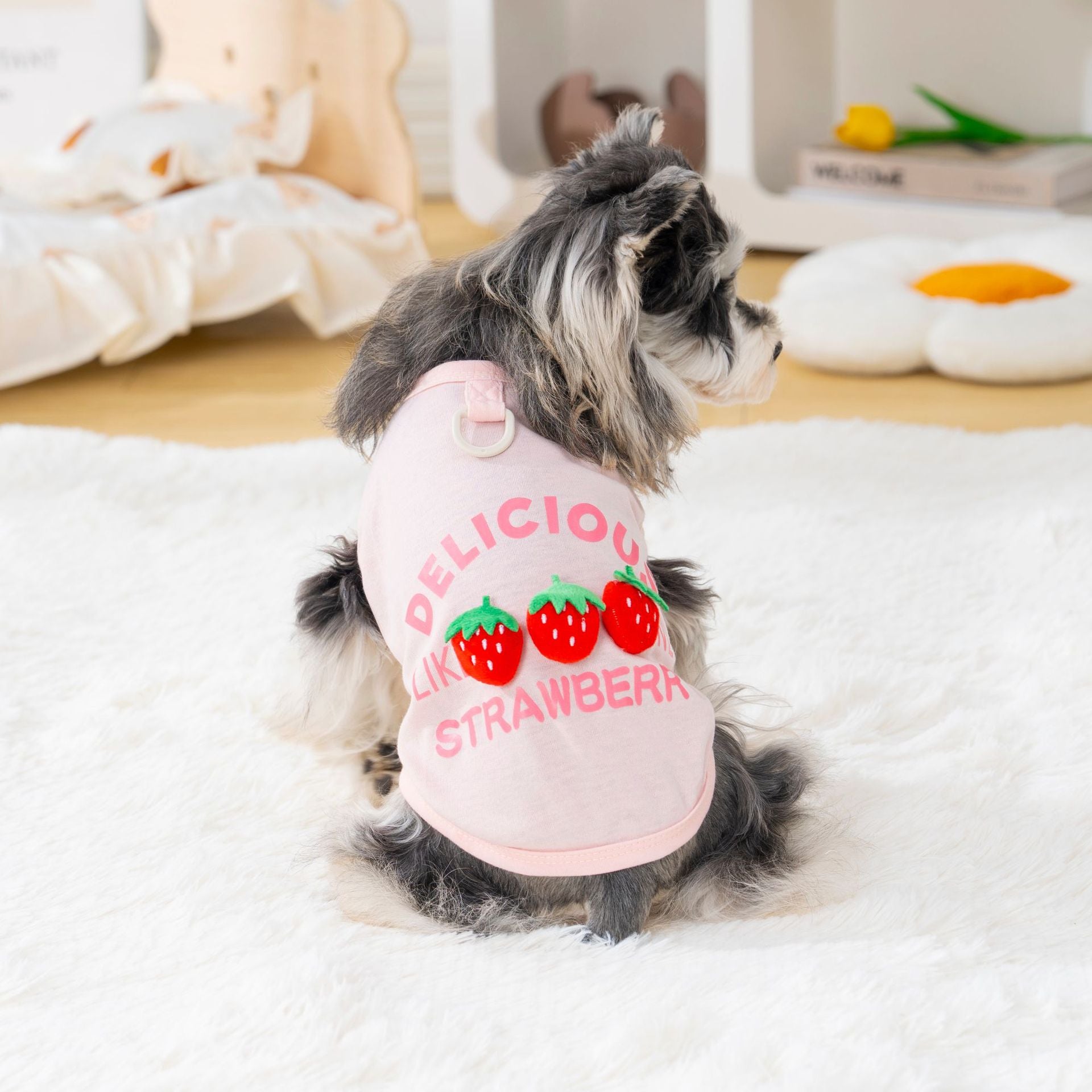 Pet clothes dog cat clothes pet clothing spring and summer new pet 26 three-dimensional doll fruit vest