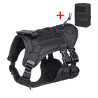 Outdoor Dog Harness Vest – Lightweight Leash Walking Gear