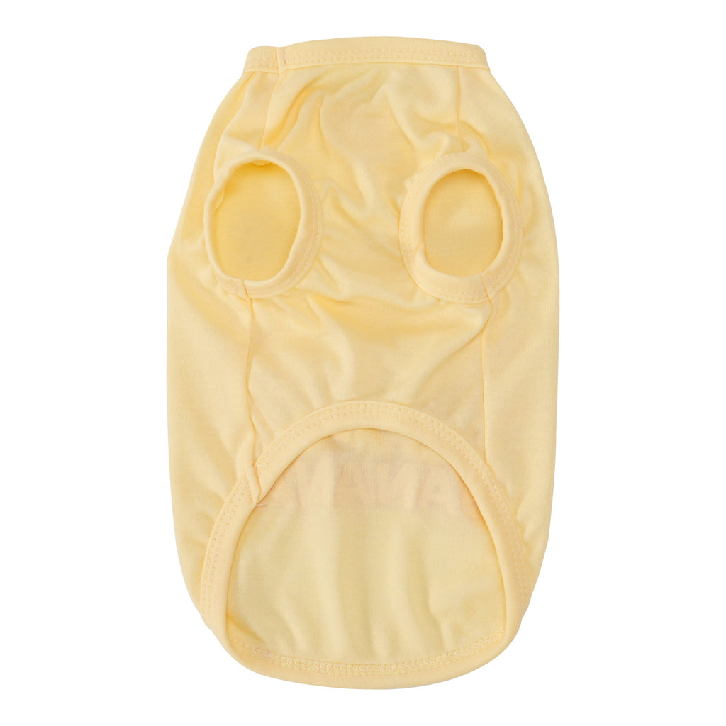 Pet clothes dog cat clothes pet clothing spring and summer new pet 26 three-dimensional doll fruit vest