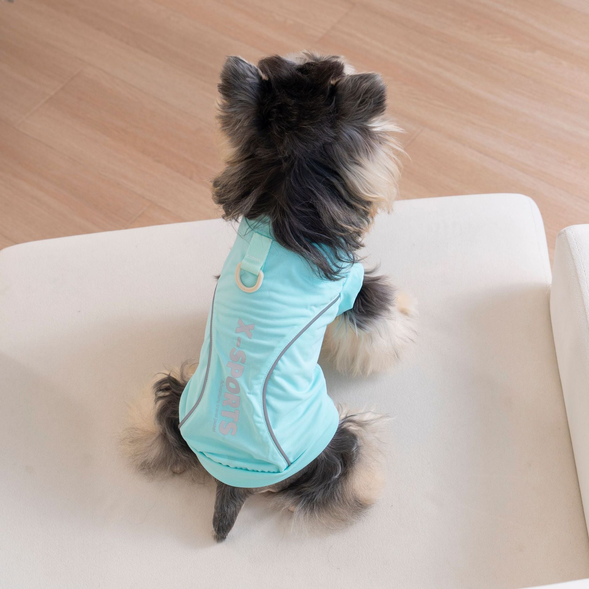 Reflective Luminous Sports Dog T-Shirt | Safety Night Walk Pet Clothes for Small Dogs