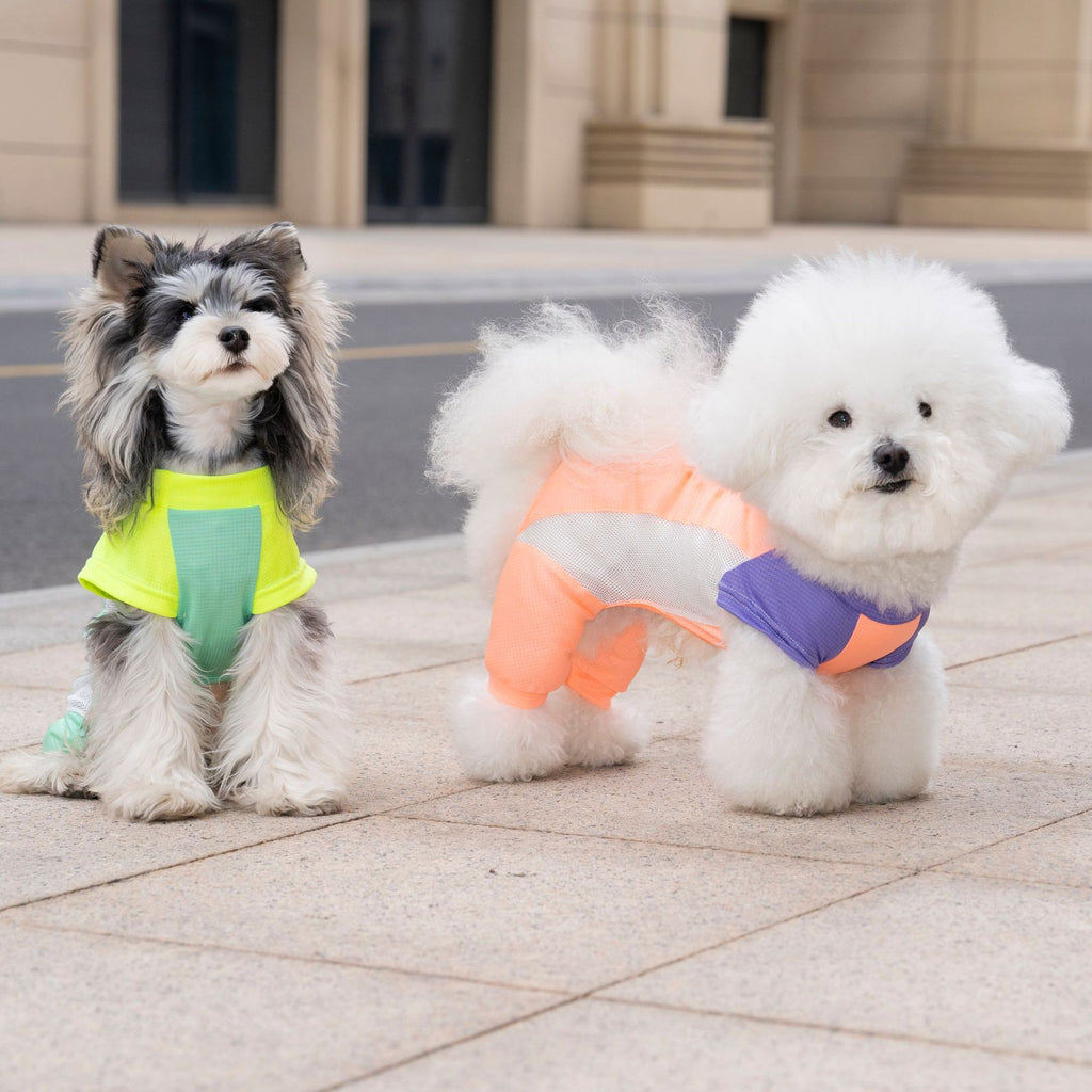 Pet apparel, dog clothes, four-legged outfit, korean style spring/summer new arrival, 26-piece mesh sports four-leg suit