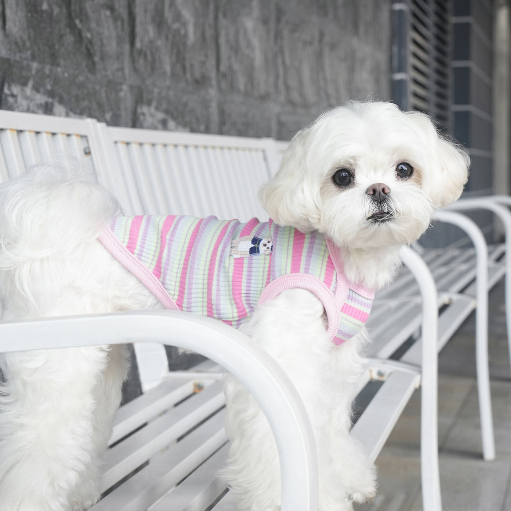 pet Spring Summer Striped Color Match Vest Teddy Schnauzer Bichon dog Clothes Wholesale