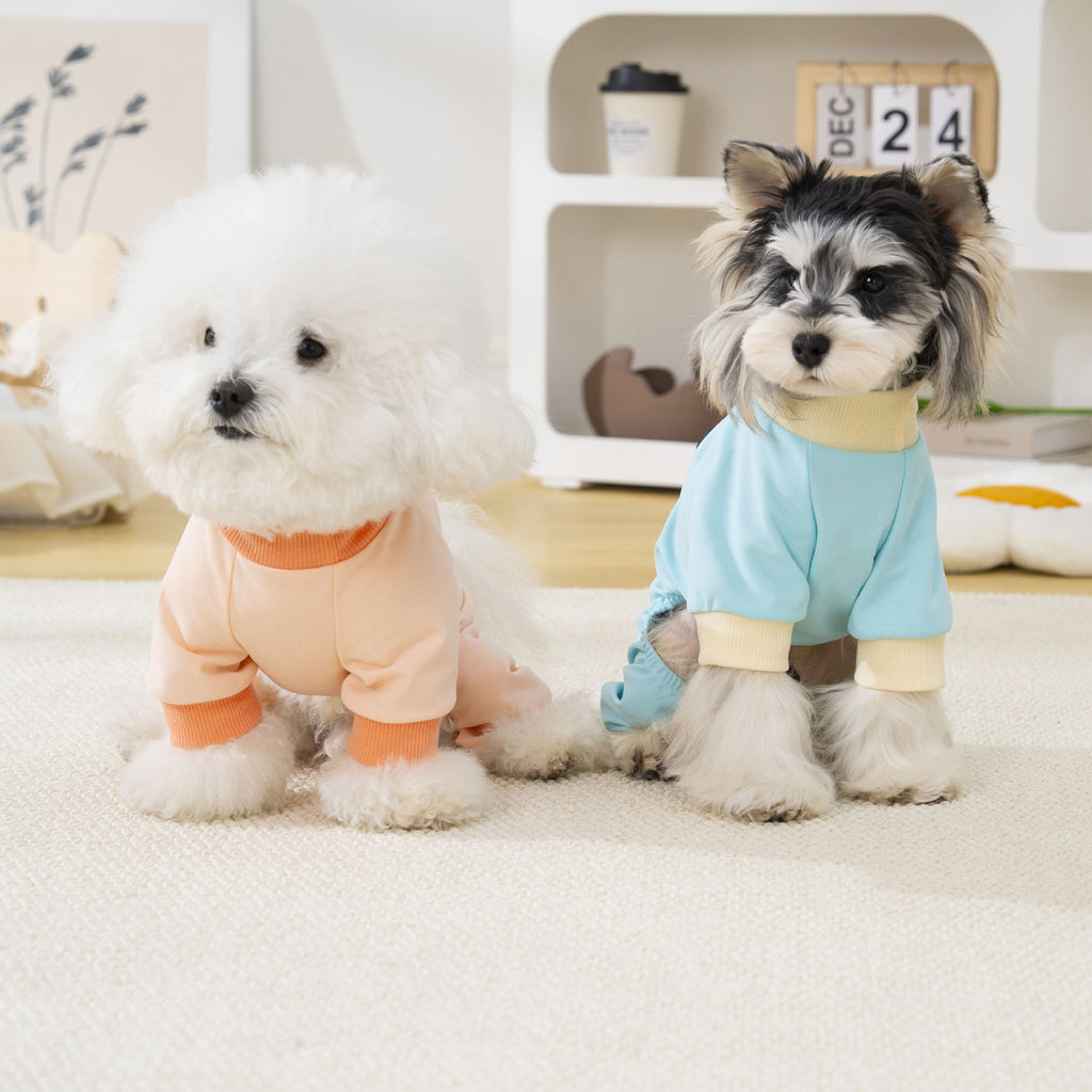Pet apparel, dog clothes, four-legged outfit, korean style, new spring/summer collection, 26 korean minimalist four-legged design