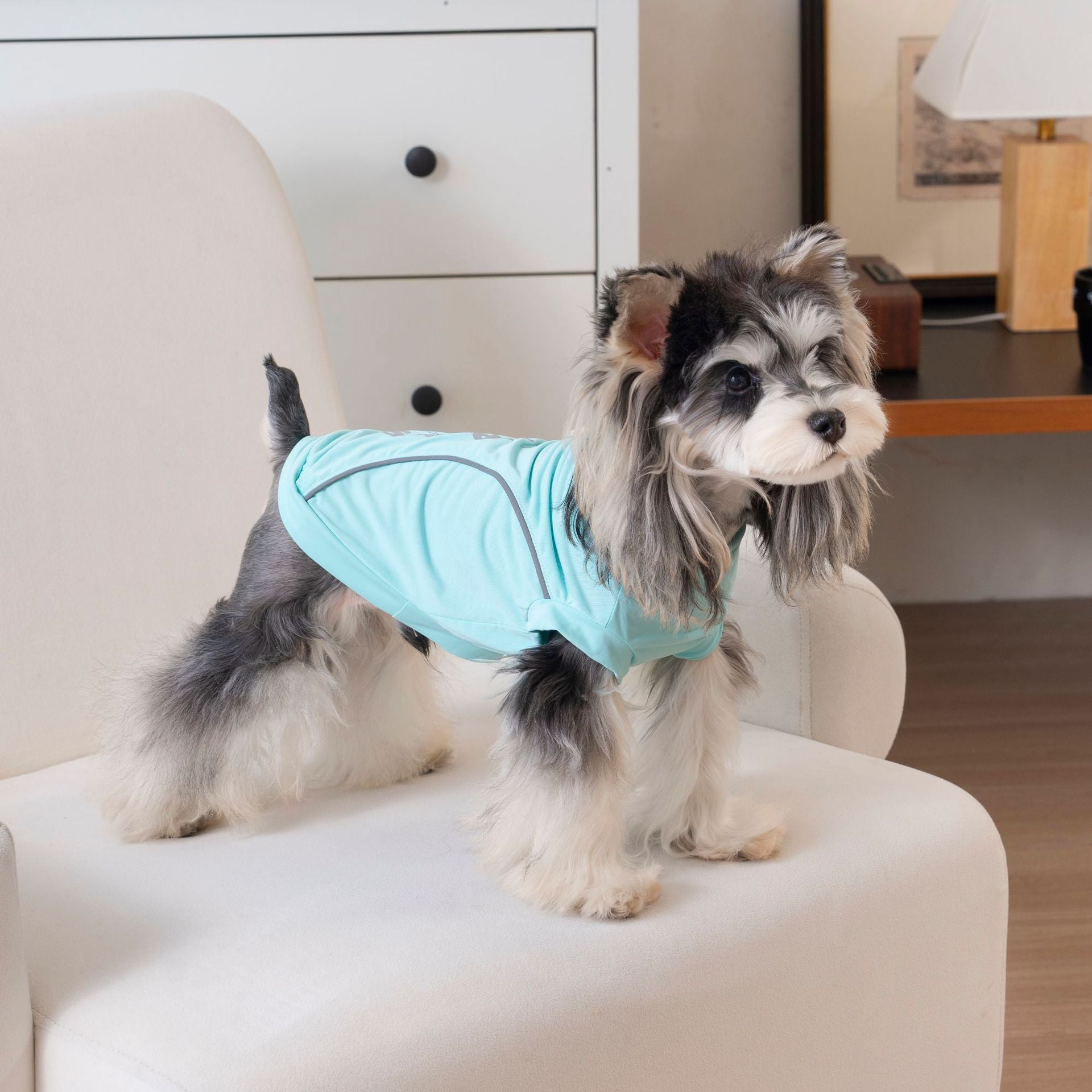 Pet clothes dog clothes pet apparel spring/summer new reflective pet t-shirt luminous 26 reflective sports t-shirt