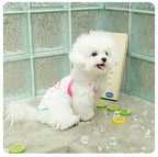 pet Summer Lightweight dog Cool Touch Vest Small to Medium Dogs Teddy