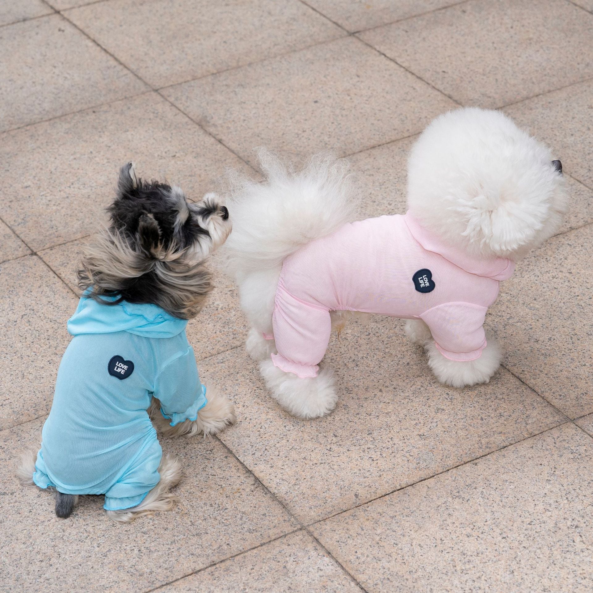 Pet apparel waterproof pet clothes dog clothes four-legged suit spring/summer new 26 mesh mosquito-proof four-leg pants