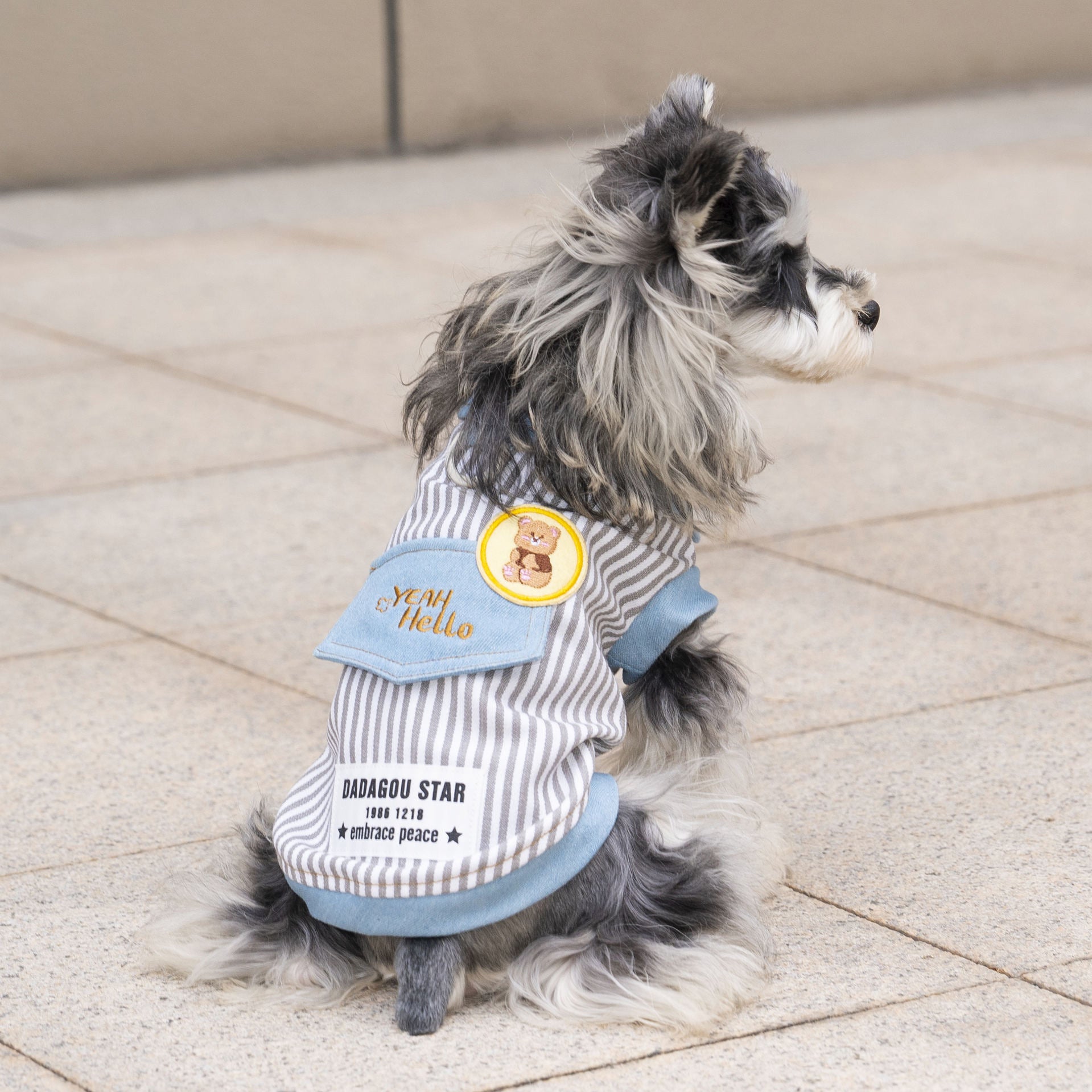 Pet clothes dog cat clothes breathable denim pet clothing spring and summer new pet 26 stripe denim jacket