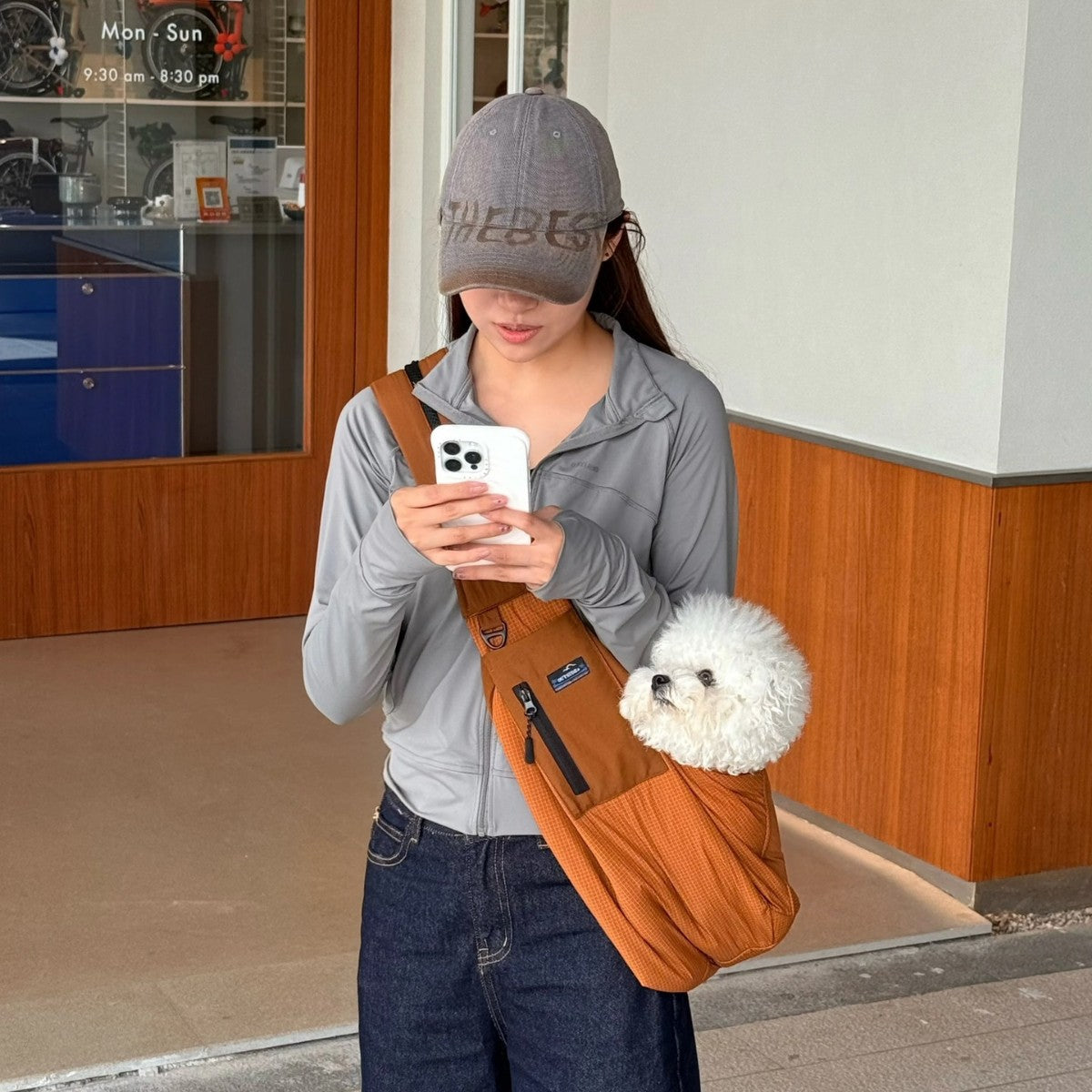pet Small Dogs dog Outdoor