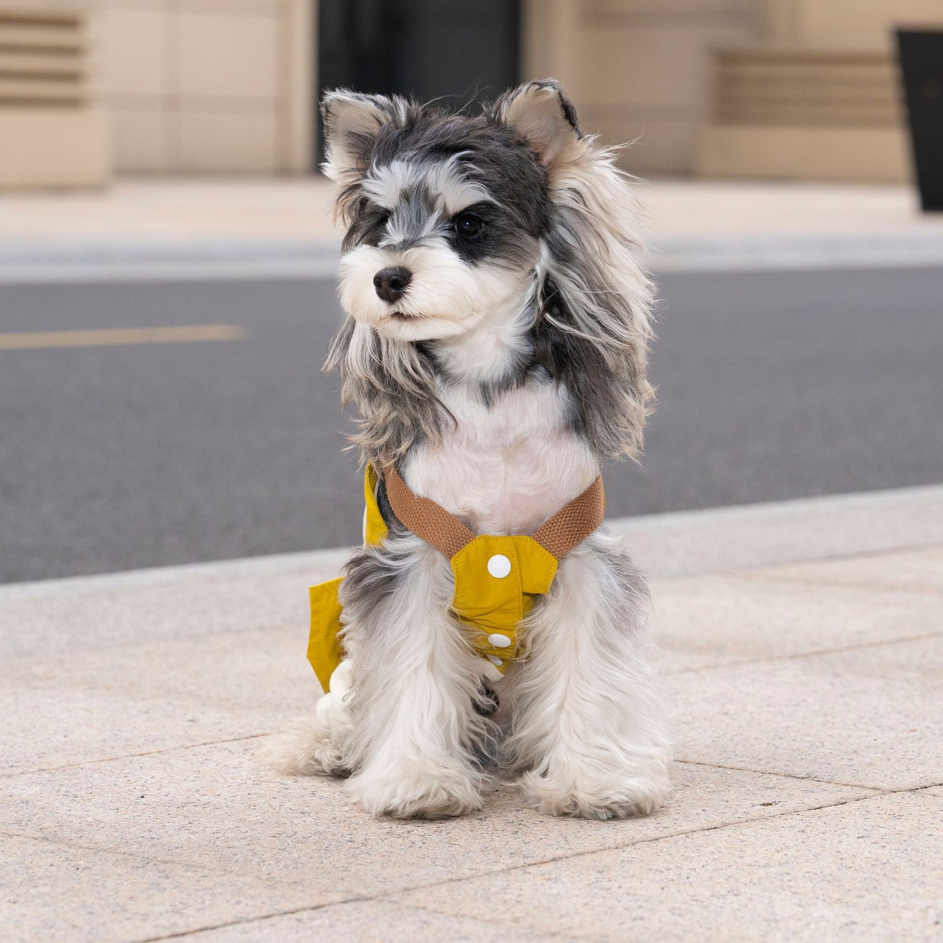 Pet apparel, pet clothes, dog clothes, pet overalls, spring/summer new arrivals, 26 overalls
