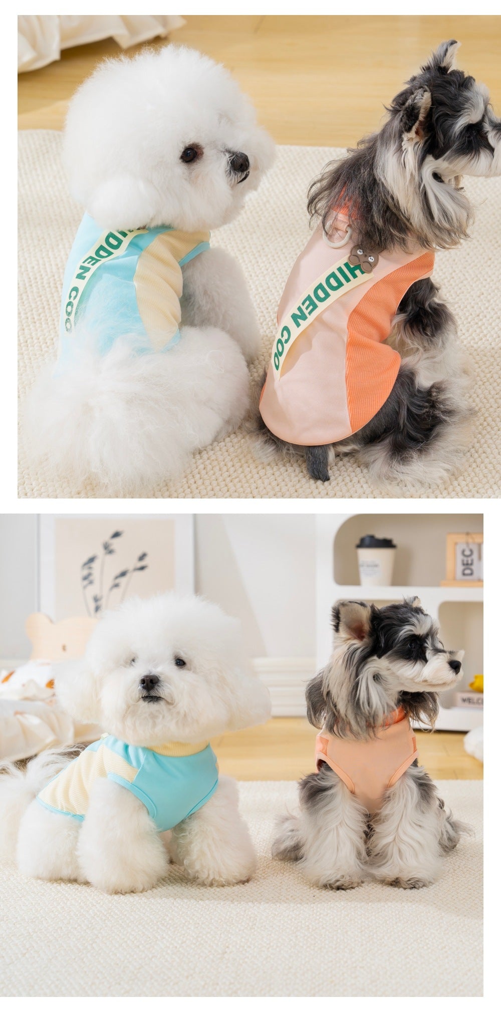 Pet cat & dog clothes - spring/summer lightweight vest for small breeds (bichon, teddy, schnauzer) - color block design, breathable