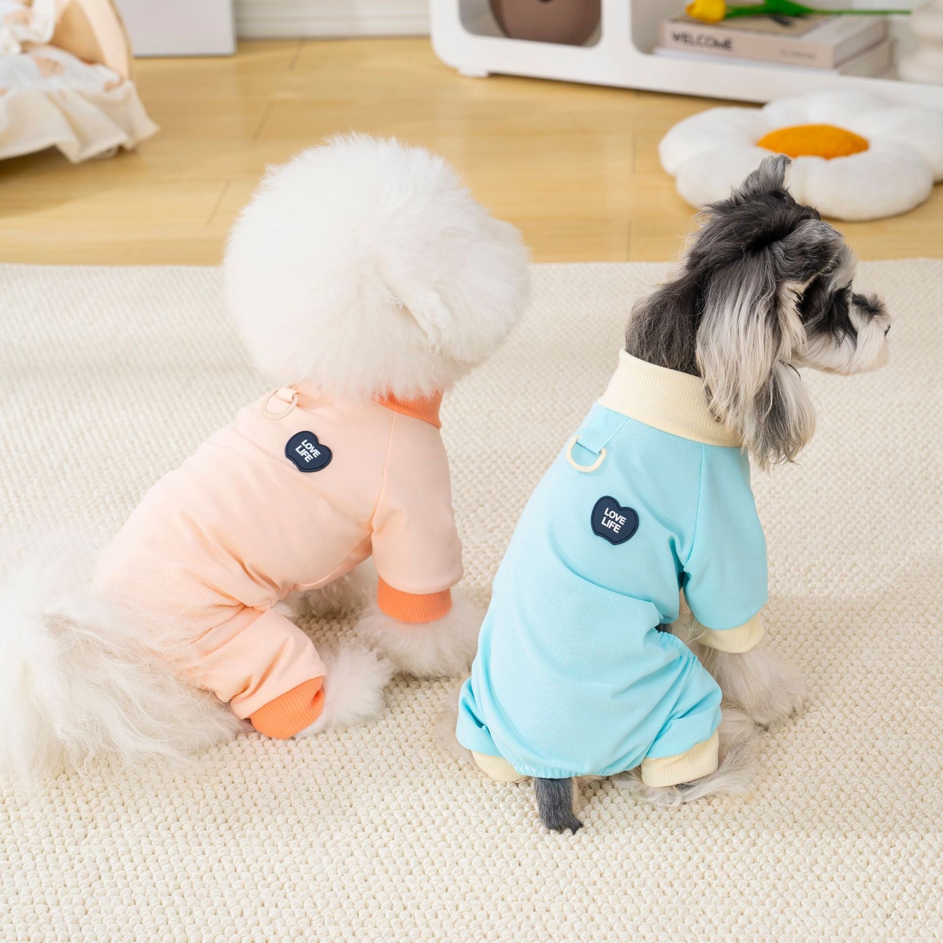 Pet apparel, dog clothes, four-legged outfit, korean style, new spring/summer collection, 26 korean minimalist four-legged design