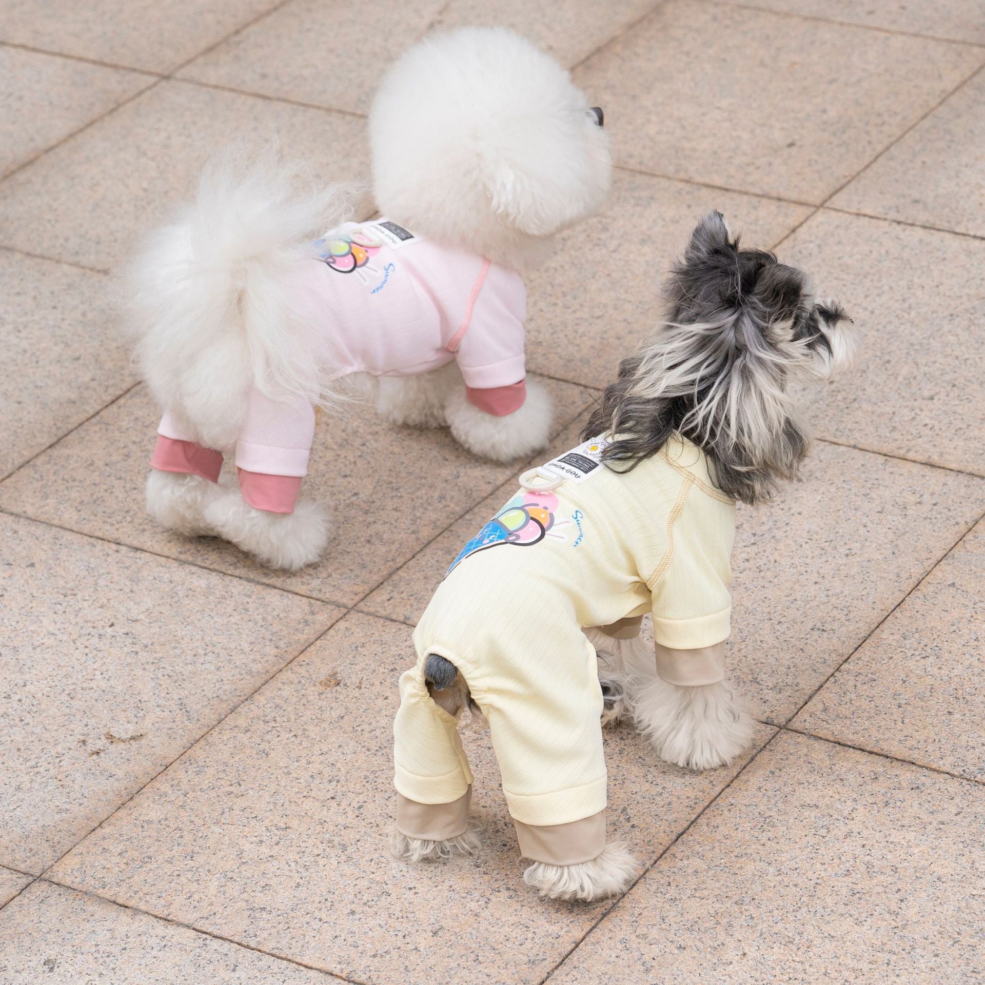 Pet apparel, dog clothes, four-legged outfit, korean style, new spring/summer collection, 26 ice cream print, four-legged design