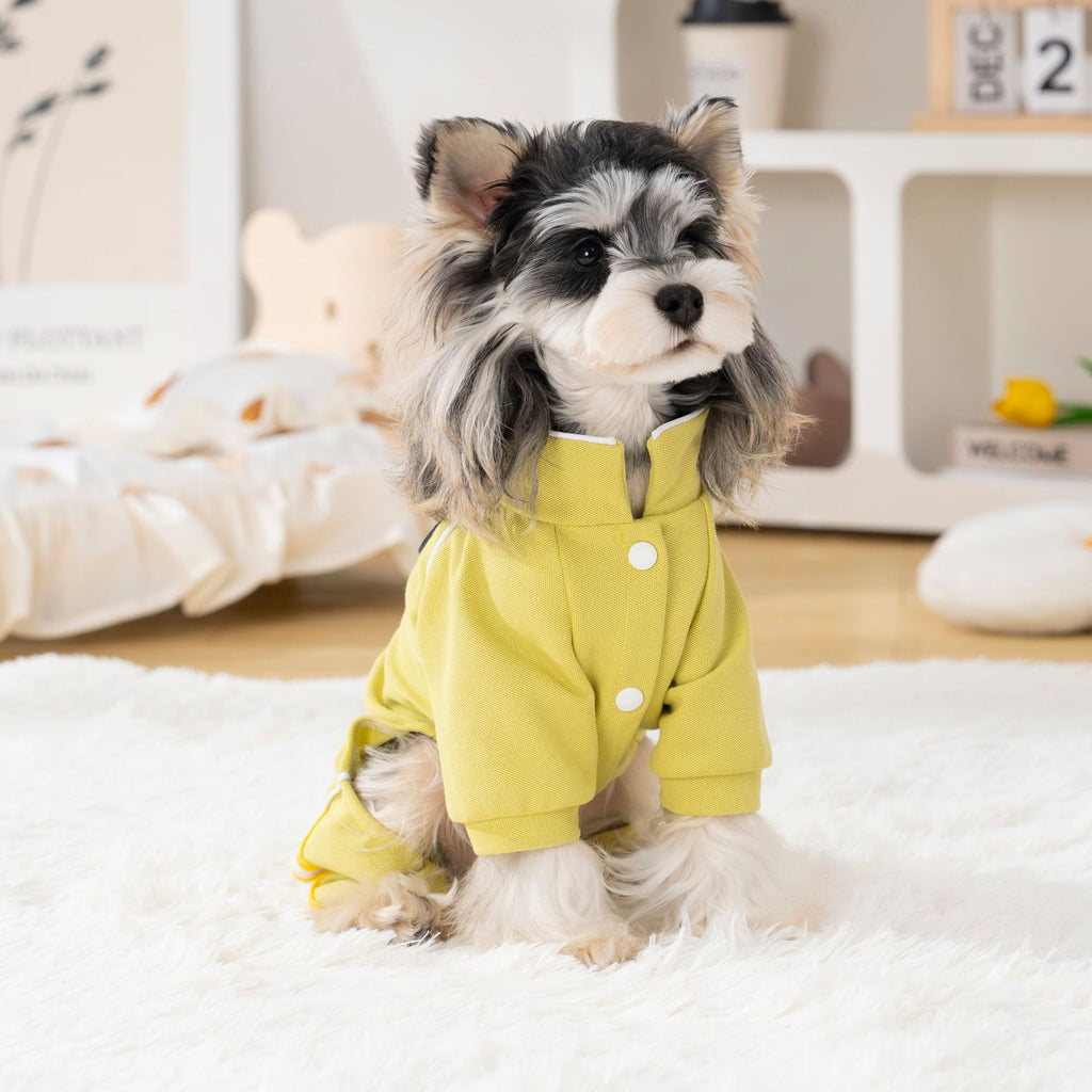 Pet clothing pet clothes dog clothes four-legged clothes k-style spring and summer new arrival 26 dynamic pique four legs
