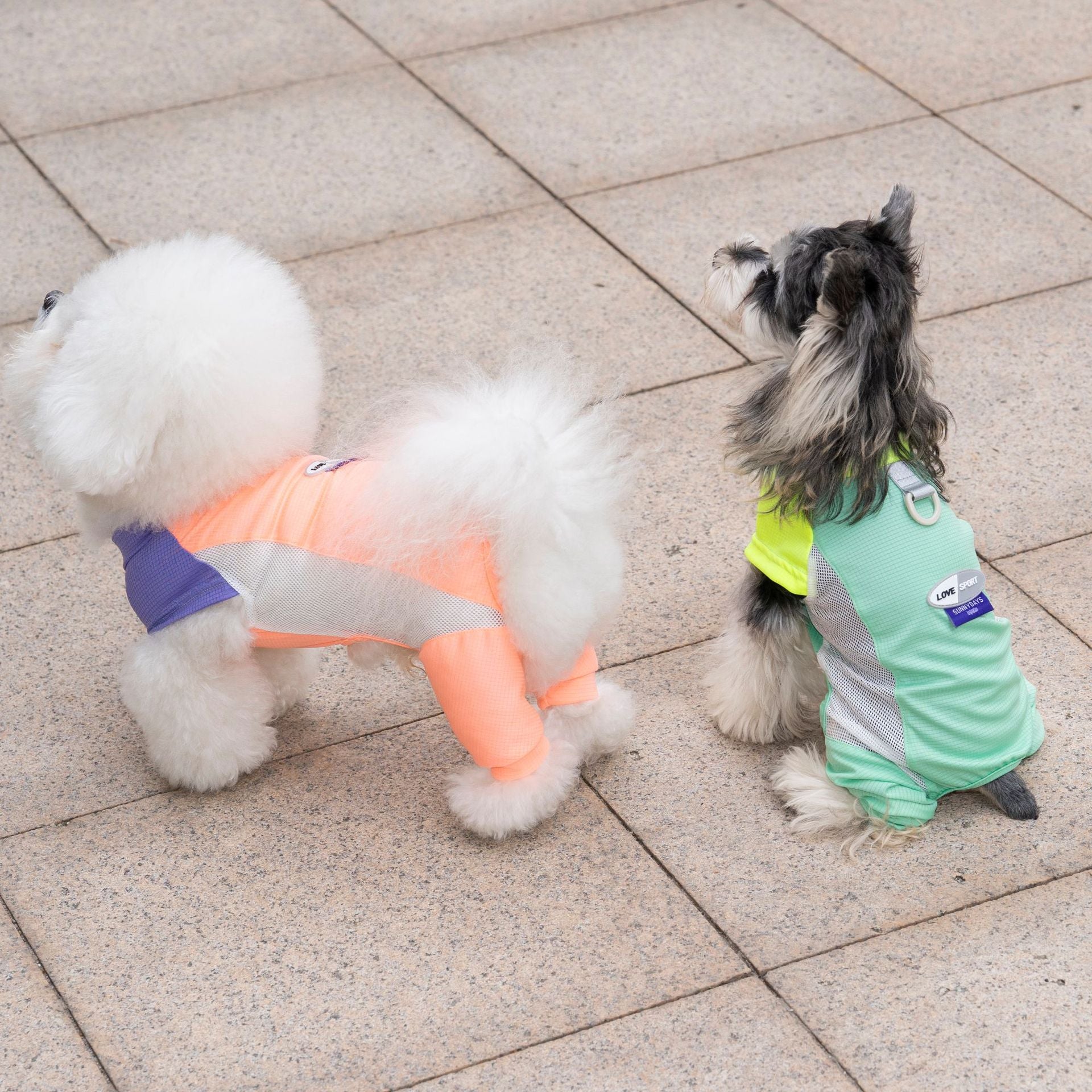 Pet apparel, dog clothes, four-legged outfit, korean style spring/summer new arrival, 26-piece mesh sports four-leg suit