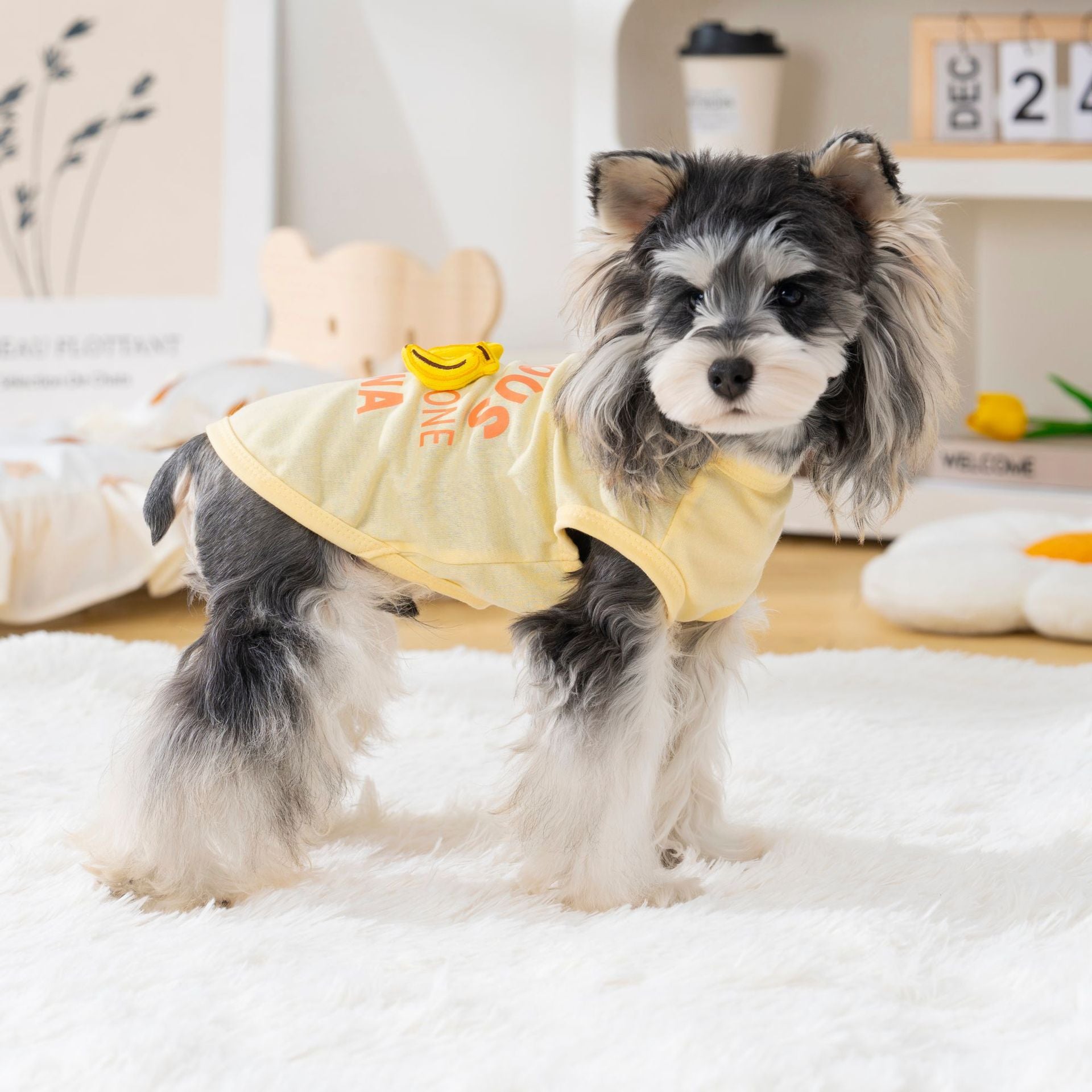 Pet clothes dog cat clothes pet clothing spring and summer new pet 26 three-dimensional doll fruit vest