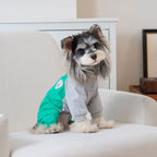 Pet apparel, pet outdoor clothing, dog clothes, four-legged suit, spring/summer new arrivals, 26 softshell outdoor four-legged outfit