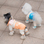 Dog raincoat pet apparel - waterproof rain jacket for all seasons (spring, summer, autumn, winter) - teddy, bichon frise & other small breeds - 26 color block designs