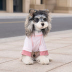 Pet apparel, dog clothes, four-legged outfit, korean style, new spring/summer collection, 26 ice cream print, four-legged design