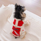 Spring and summer clothes, four-legged thin style, new style jacket, teddy schnauzer spring clothes, 26 cool wind flap pocket pants, four legs