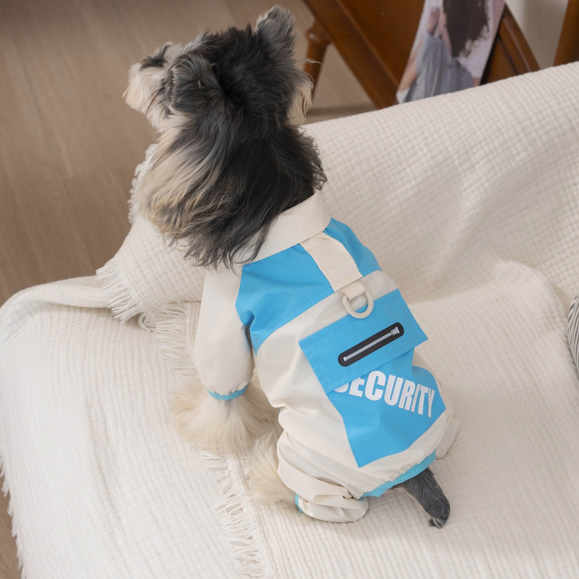 Spring and summer clothes, four-legged thin style, new style jacket, teddy schnauzer spring clothes, 26 cool wind flap pocket pants, four legs
