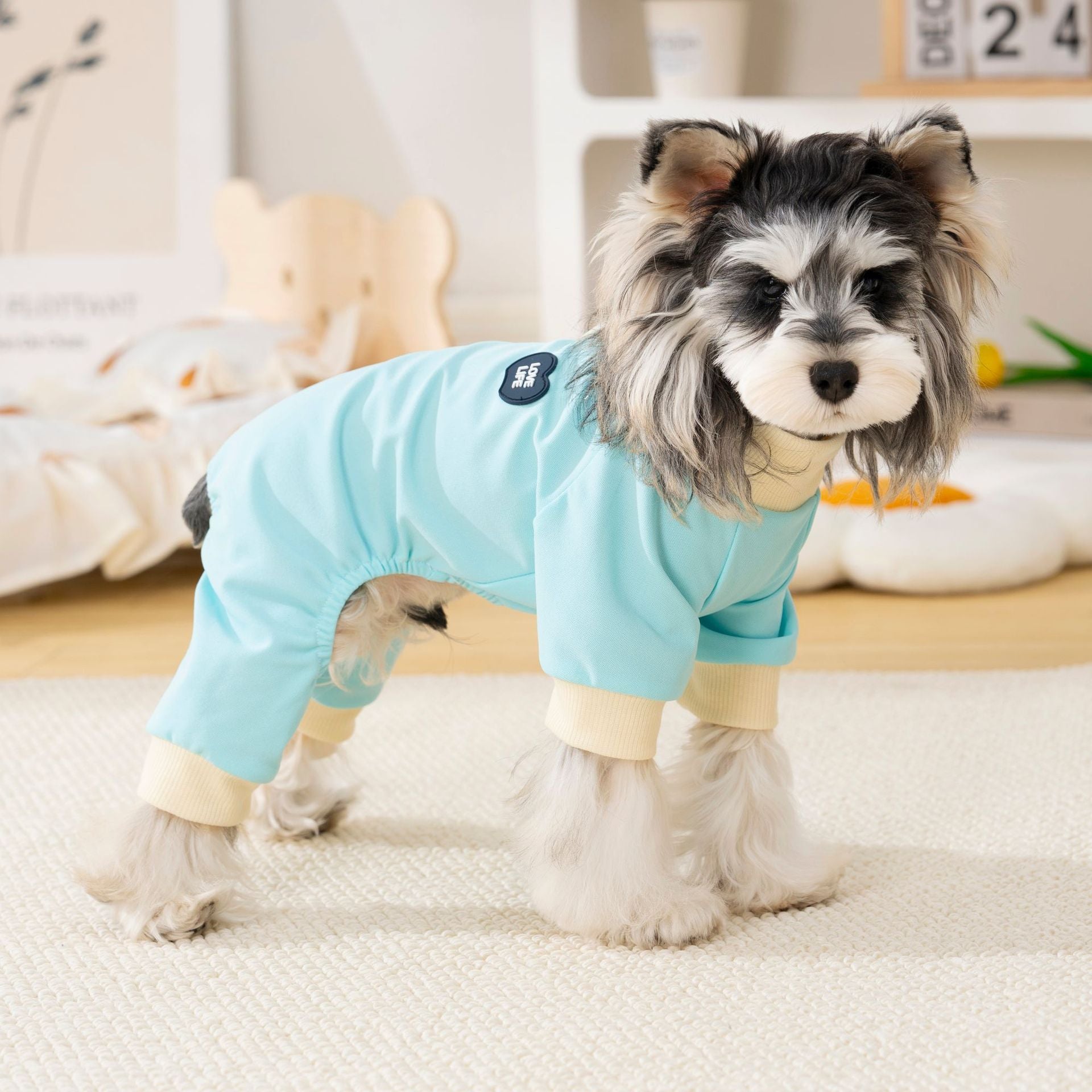Pet apparel, dog clothes, four-legged outfit, korean style, new spring/summer collection, 26 korean minimalist four-legged design