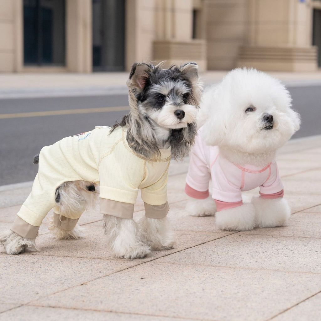 Pet apparel, dog clothes, four-legged outfit, korean style, new spring/summer collection, 26 ice cream print, four-legged design