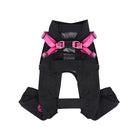Outdoor pet Spring Summer dog Stain Resistant Outdoor Harness Leash Walking