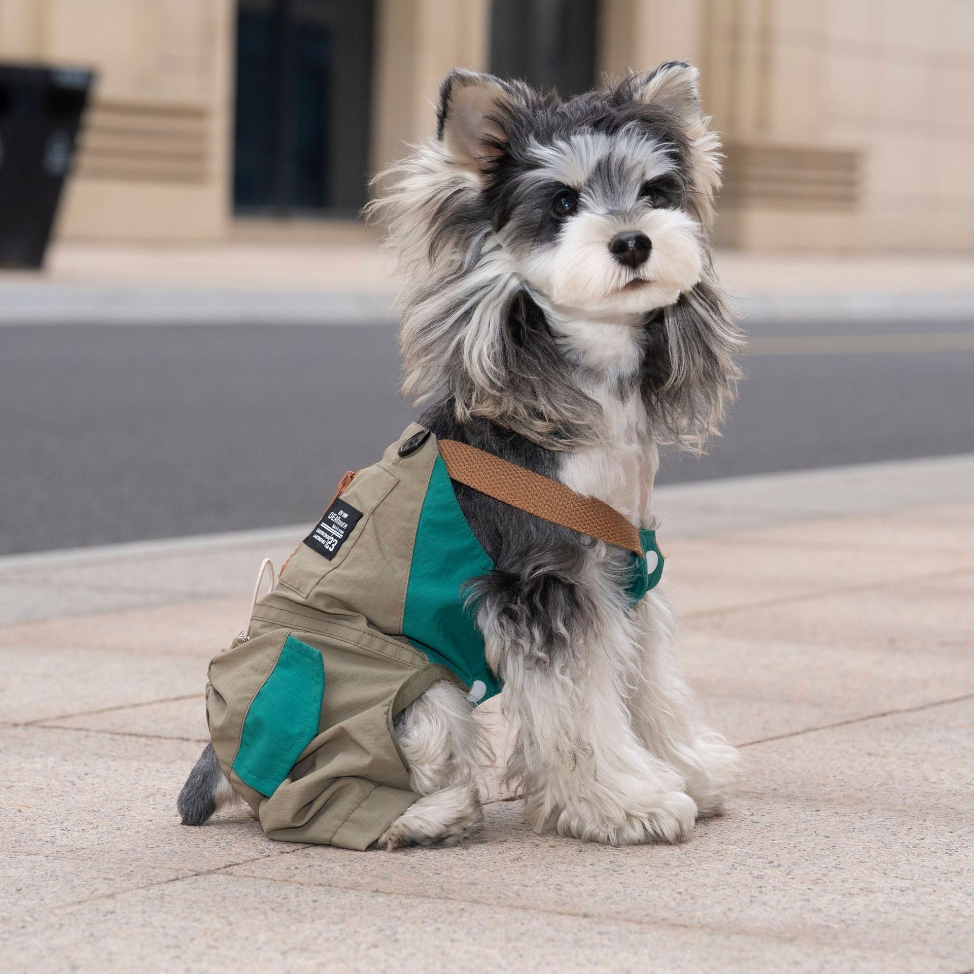 Pet apparel, pet clothes, dog clothes, pet overalls, spring/summer new arrivals, 26 overalls