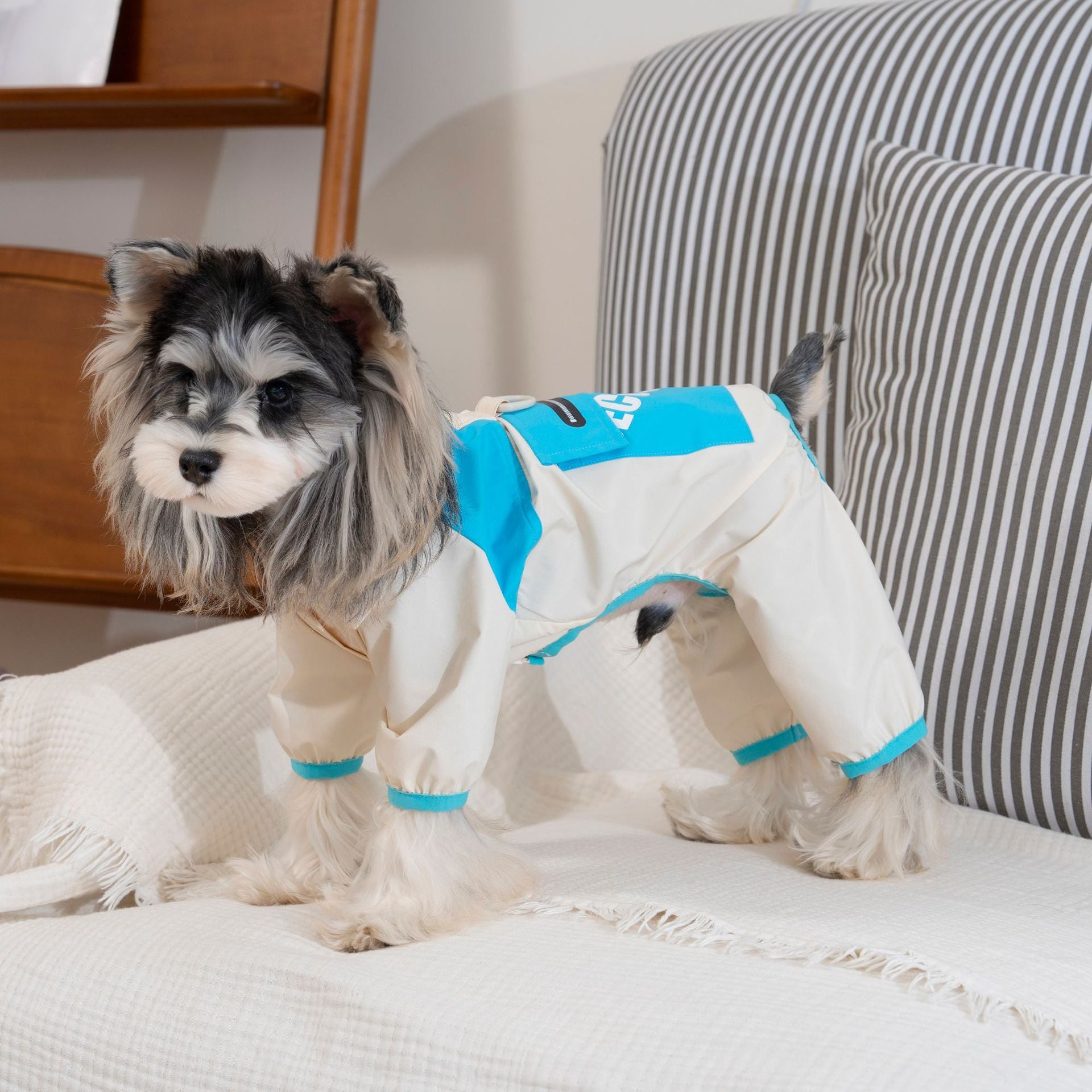 Spring and summer clothes, four-legged thin style, new style jacket, teddy schnauzer spring clothes, 26 cool wind flap pocket pants, four legs