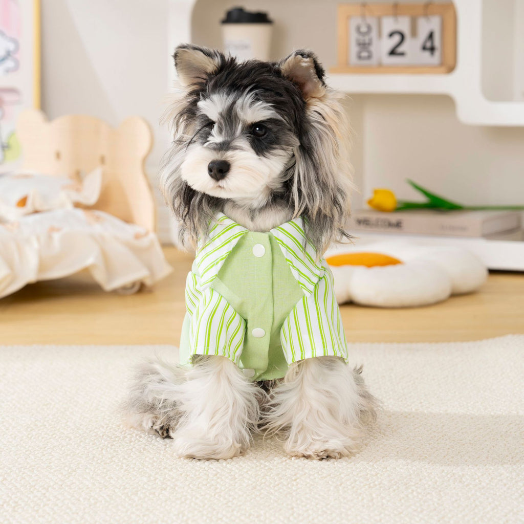 Pet clothes dog cat clothes breathable pet clothing spring and summer new pet 26 fun patchwork shirt