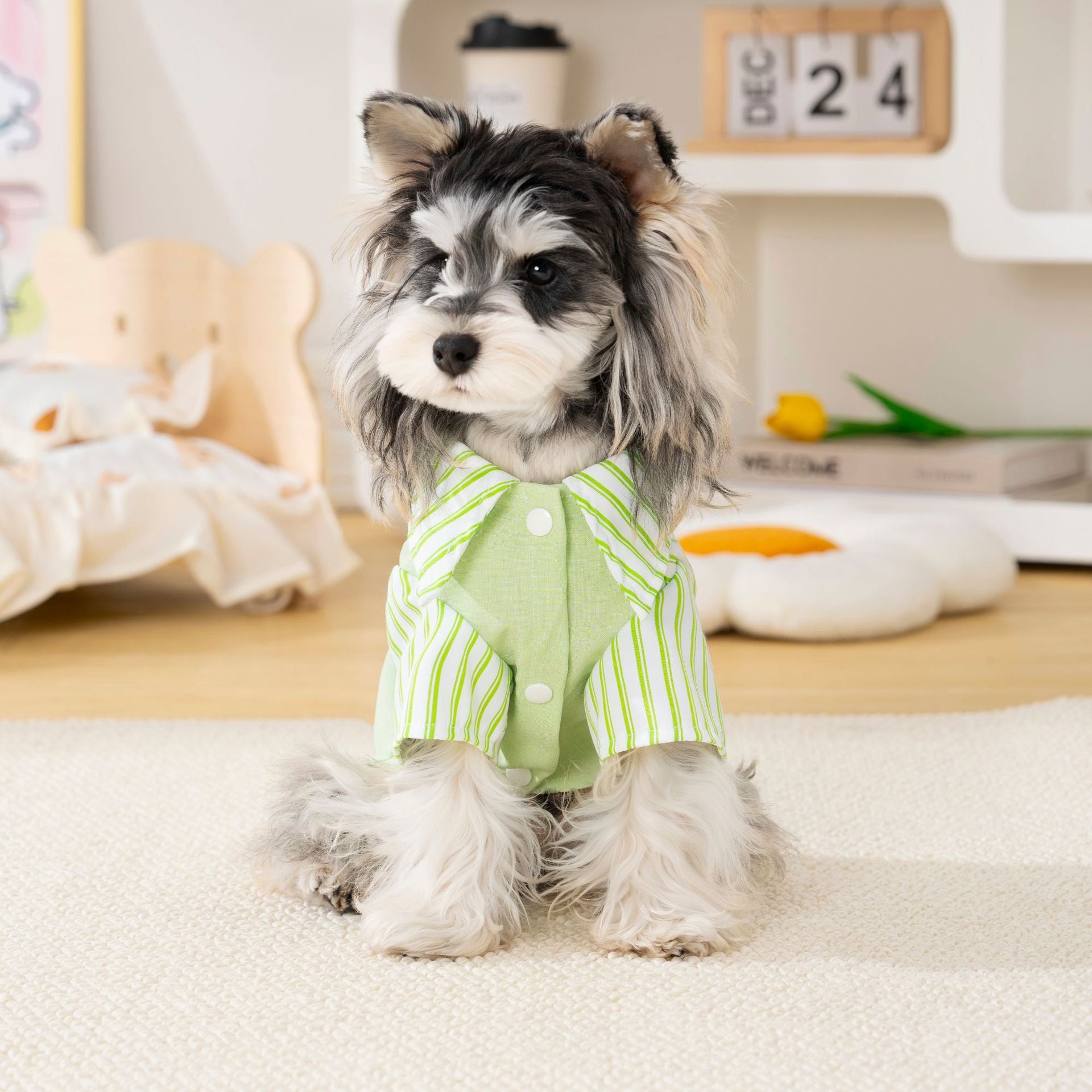 Pet clothes dog cat clothes breathable pet clothing spring and summer new pet 26 fun patchwork shirt