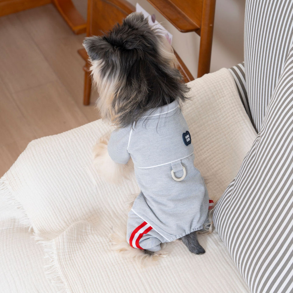 Pet clothing pet clothes dog clothes four-legged clothes k-style spring and summer new arrival 26 dynamic pique four legs